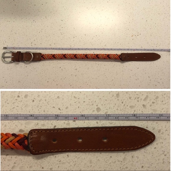 ⭐️Host Pick⭐️ Zara Multi-Coloured Braided Leash and Collar - Picture 7 of 12